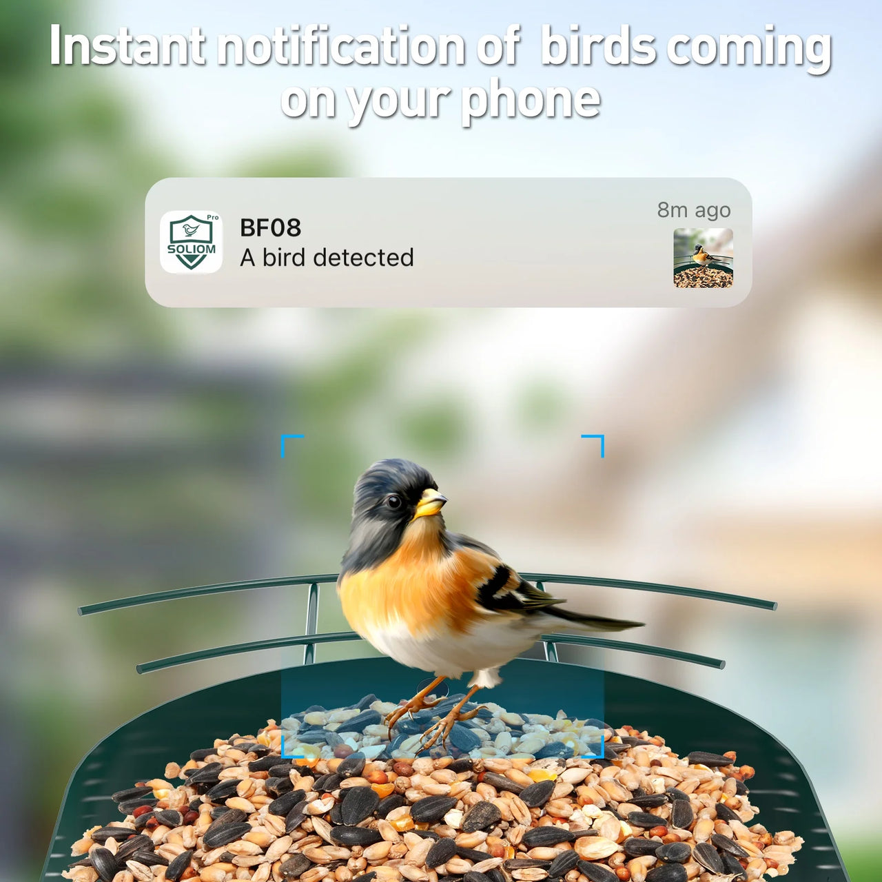  Smart Bird Feeder Camera with AI Identify Bird Species, Live View