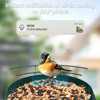 Thumbnail for  Smart Bird Feeder Camera with AI Identify Bird Species, Live View