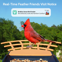Thumbnail for Smart Bird Feeder with Camera,  Outdoor Bird Camera with 1080P HD Video, APP Real-Time Notifications, AI Identify Bird, Wifi Connection & Seed Guard, Blue