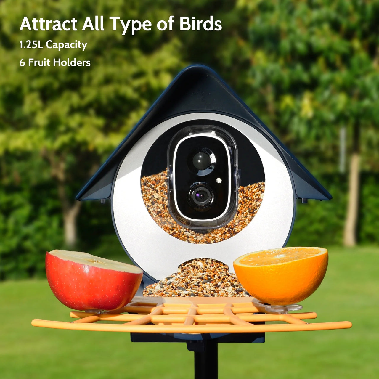 Smart Bird Feeder with Camera,  Outdoor Bird Camera with 1080P HD Video, APP Real-Time Notifications, AI Identify Bird, Wifi Connection & Seed Guard, Blue
