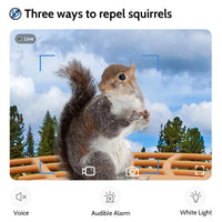 Thumbnail for Smart Bird Feeder with Camera,  Outdoor Bird Camera with 1080P HD Video, APP Real-Time Notifications, AI Identify Bird, Wifi Connection & Seed Guard, Blue