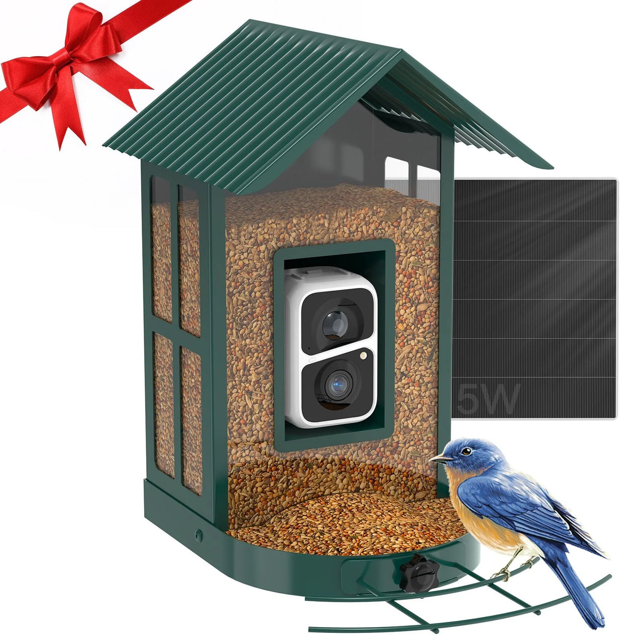  Smart Bird Feeder Camera with AI Identify Bird Species, Live View