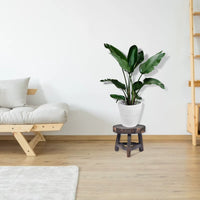 Thumbnail for Solid Wood round Bench Flower Pot Holder Plant Succulent Flower Pot Base Display Stand Stool Home Garden Patio Decor Wholesales