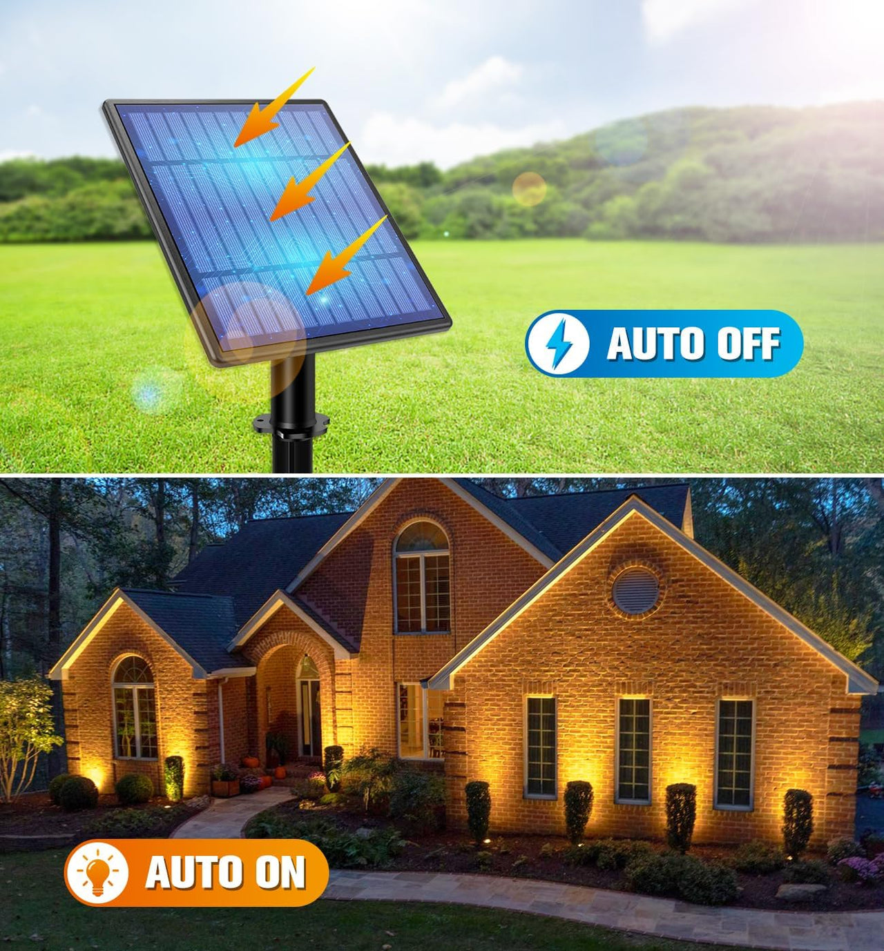 Led Solar Spotlights 9.8Ft Cable  Outdoor Garden