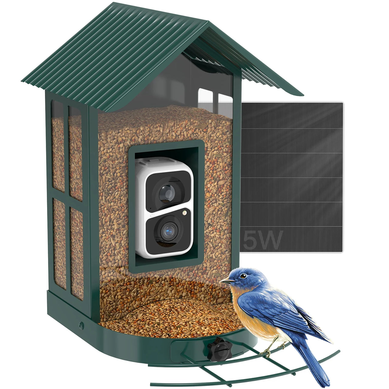  Smart Bird Feeder Camera with AI Identify Bird Species, Live View