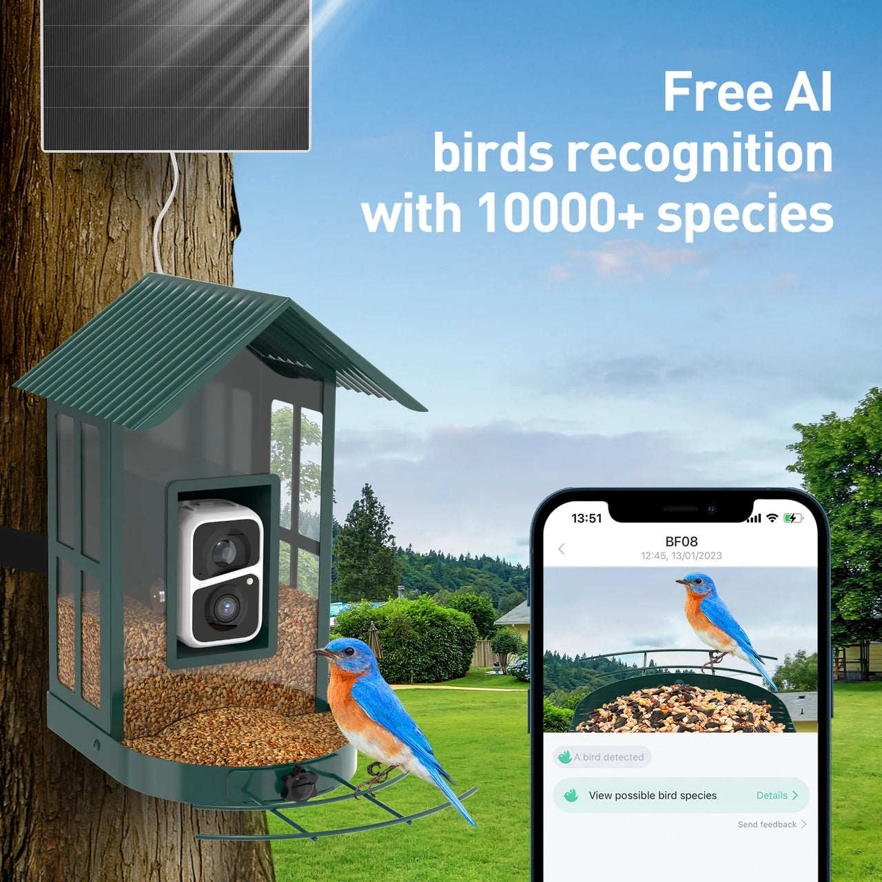  Smart Bird Feeder Camera with AI Identify Bird Species, Live View