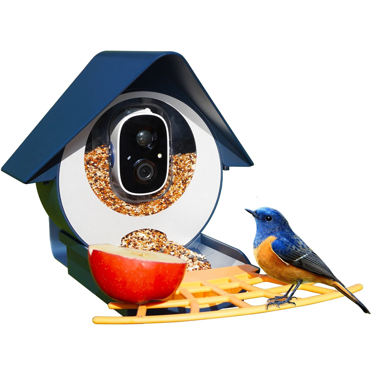 Smart Bird Feeder with Camera,  Outdoor Bird Camera with 1080P HD Video, APP Real-Time Notifications, AI Identify Bird, Wifi Connection & Seed Guard, Blue
