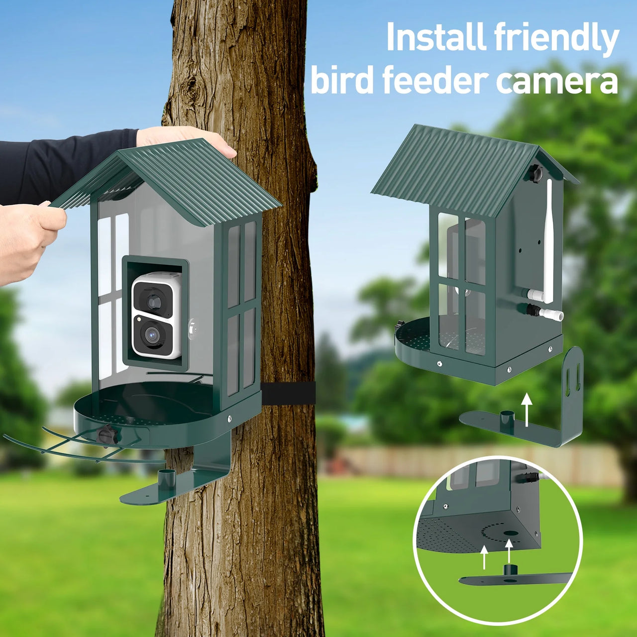  Smart Bird Feeder Camera with AI Identify Bird Species, Live View